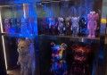 杭州临安区锦北街道附近酒吧招聘商务礼仪,用什么招聘平台好