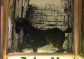 杭州上城区采荷街道附近酒吧招聘包厢气氛租,招聘微信多少
