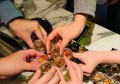 扬帆起航招聘文案简短（启航新程：诚邀加入，共创辉煌招聘文案）